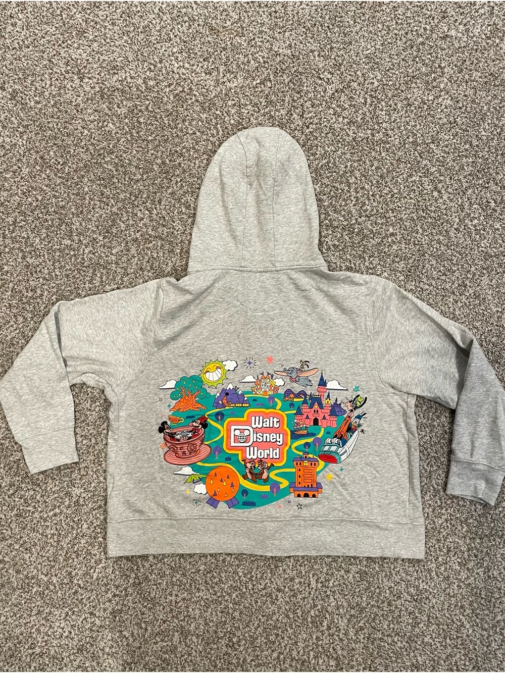 Disney Hooded Sweatshirt